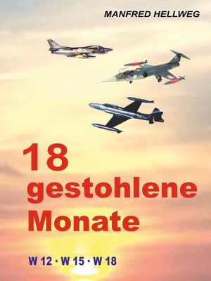 cover image of 18 gestohlene Monate